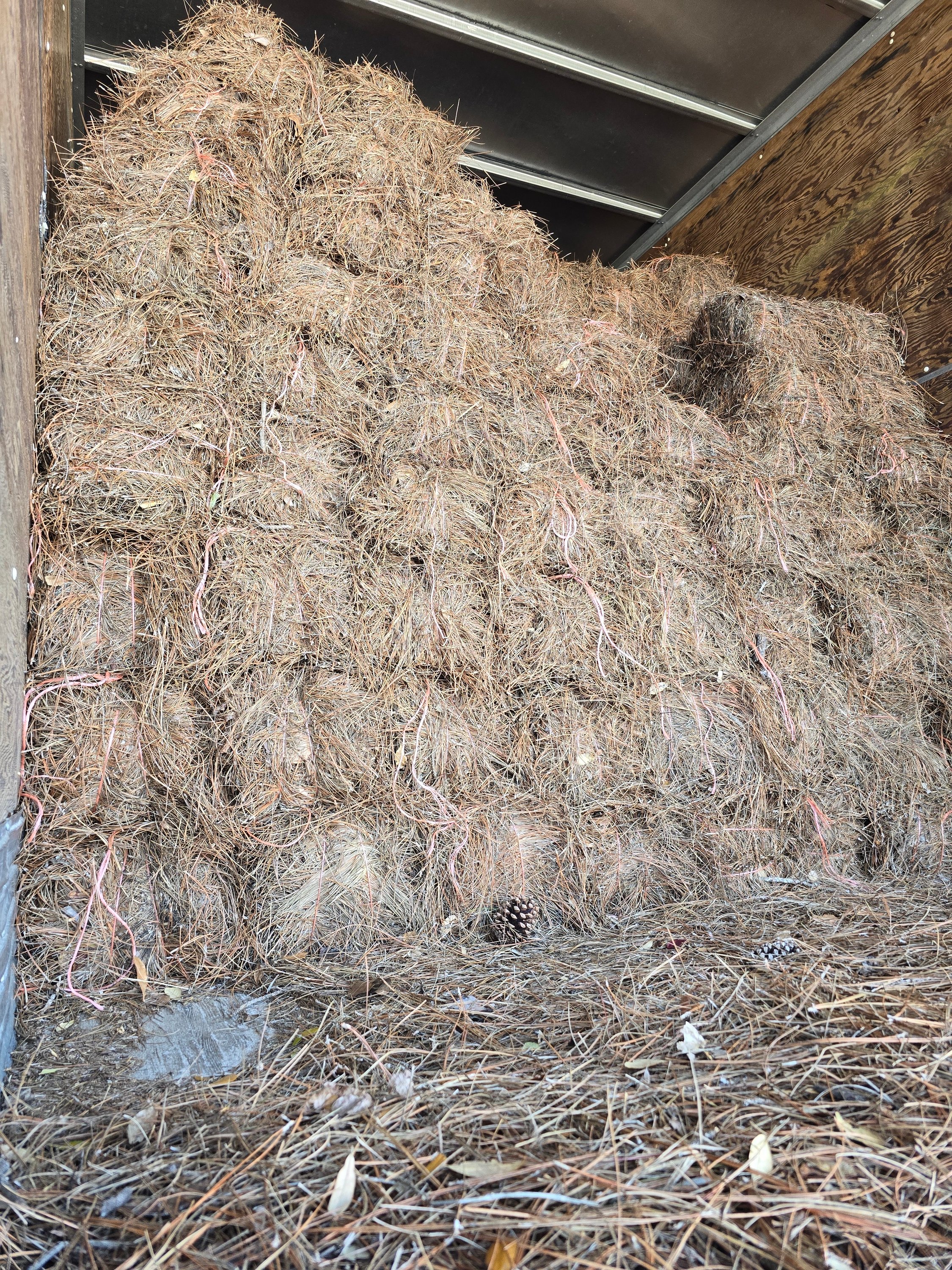 Semi-Trailer of commonly available slash pine straw
